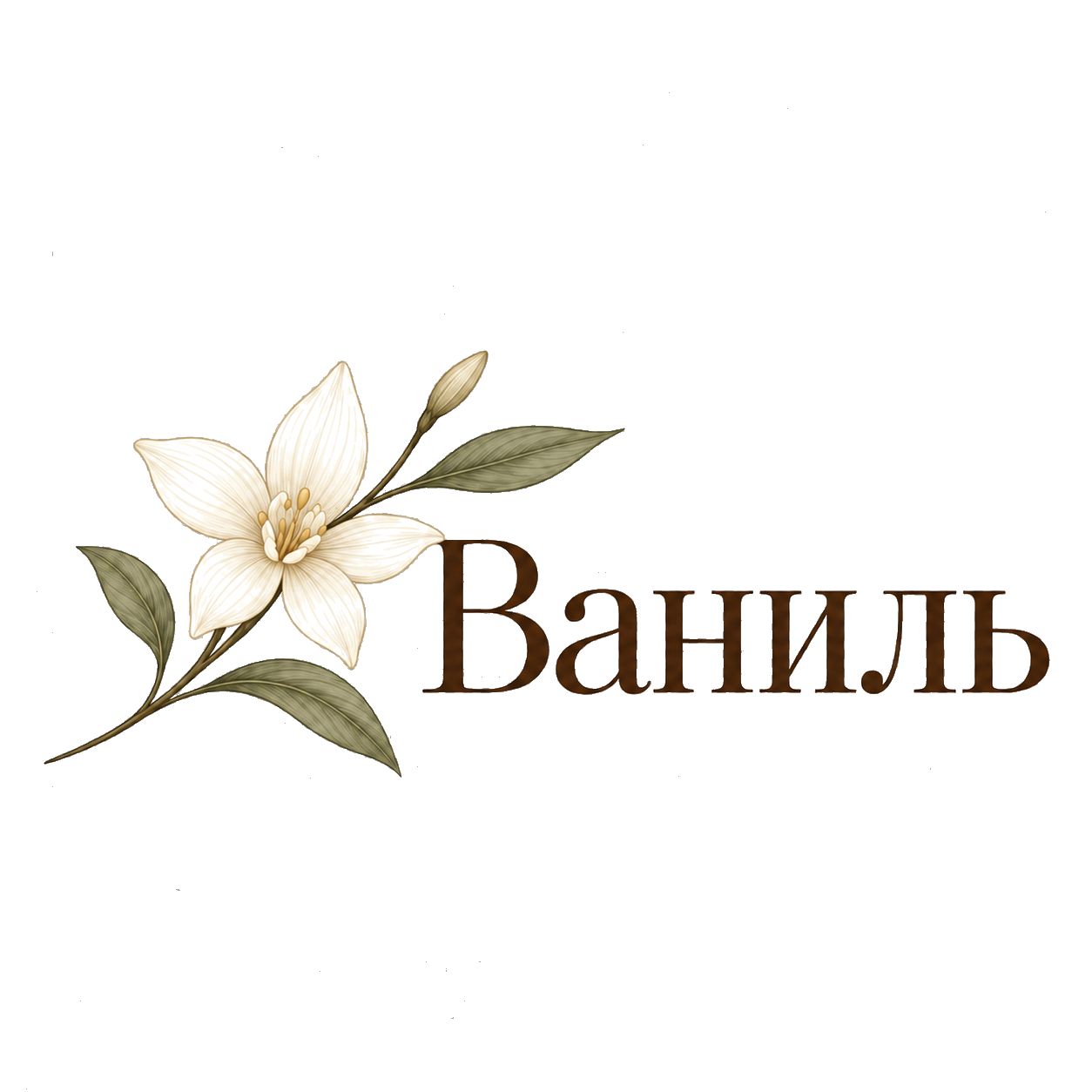 Ваниль — кондитерская студия